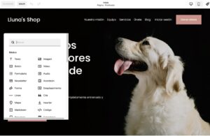 Añadir elementos a Squarespace